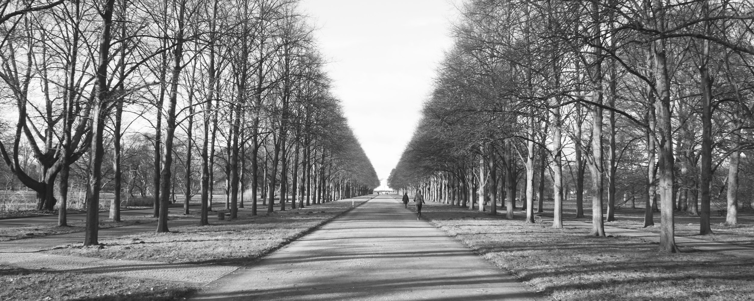Trenner_Herrenhausen-1 Herrenhausen Allee